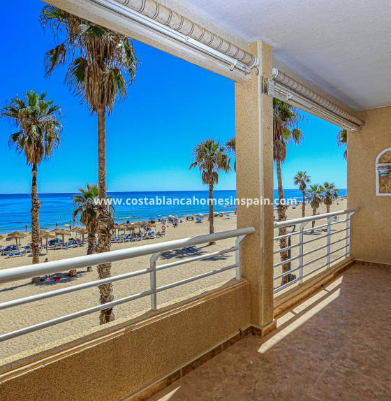 Apartment - Resale - La Mata - La Mata