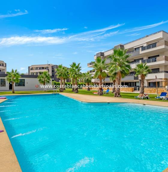 Apartment - Resale - Los Altos - CBW-37171