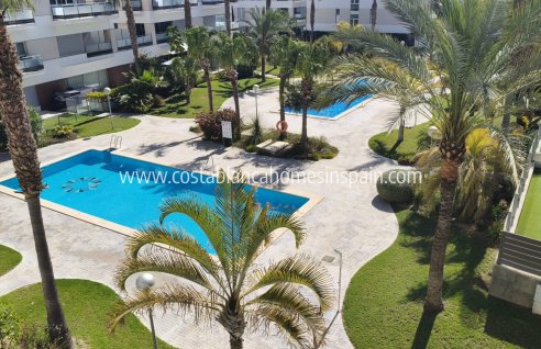 Apartment - Resale - Los Dolses - LOS DOLSES