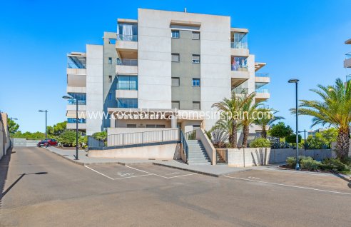 Apartment - Resale - Los Dolses - Los Dolses