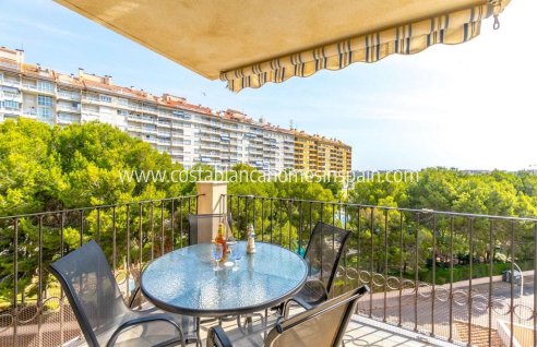 Apartment - Resale - Orihuela Costa - Campoamor