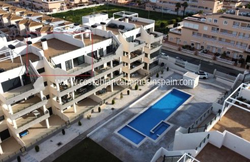 Apartment - Resale - Orihuela Costa - Orihuela Costa