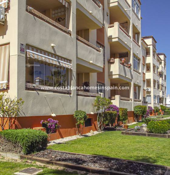 Apartment - Resale - Orihuela - Playa Flamenca