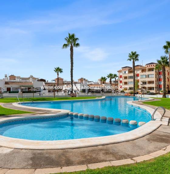 Apartment - Resale - Playa Flamenca - 1068 DT