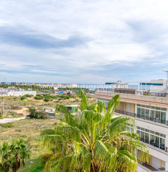 Apartment - Resale - Playa Flamenca I - Playa Flamenca I