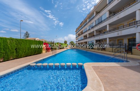 Apartment - Resale - Playa Flamenca - Playa Flamenca