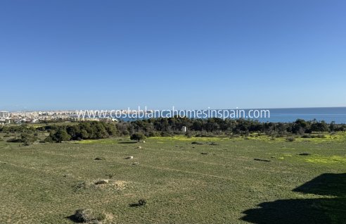Apartment - Resale - Punta Prima - Punta prima , Orihuela Costa