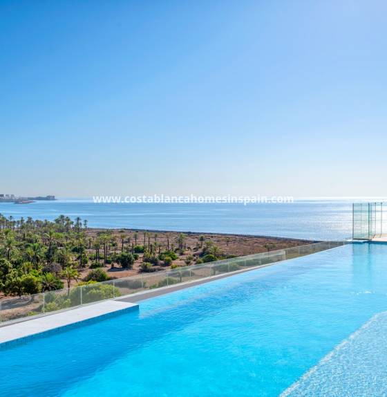 Apartment - Resale - PUNTA PRIMA - Punta prima , Orihuela Costa