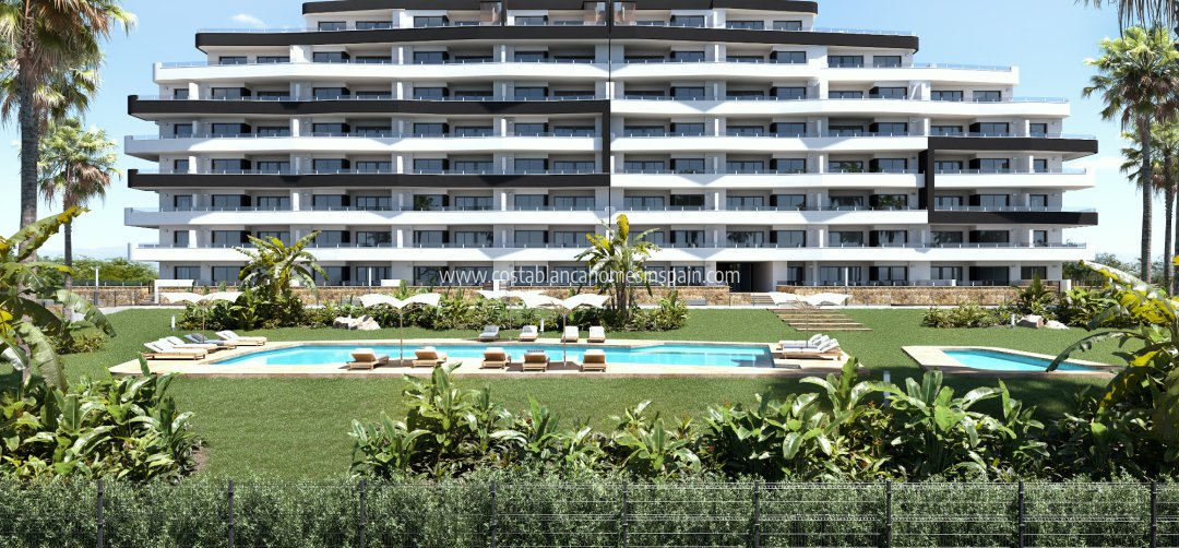 Apartment - Resale - San Miguel de Salinas - San Miguel de Salinas