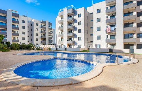 Apartment - Resale - San Miguel de Salinas - San Miguel