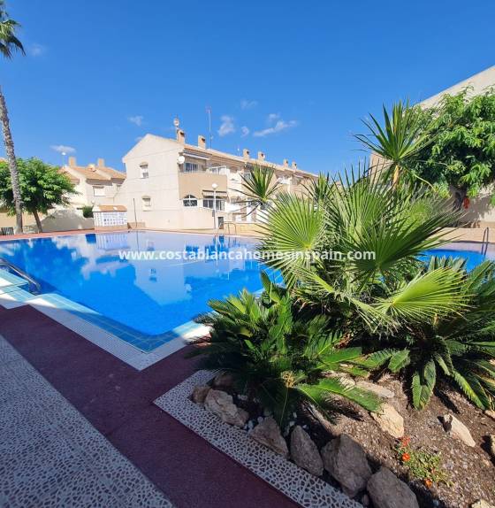 Apartment - Resale - Torrevieja - Nueva Torrevieja - Aguas Nuevas