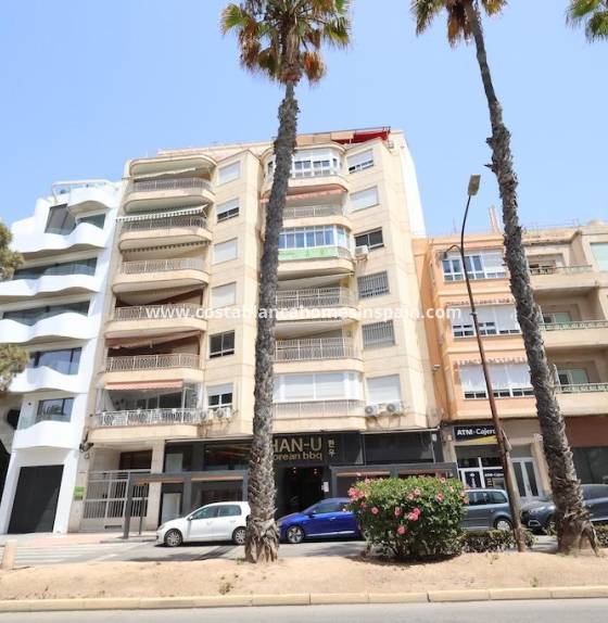 Apartment - Resale - Torrevieja - Torrevieja