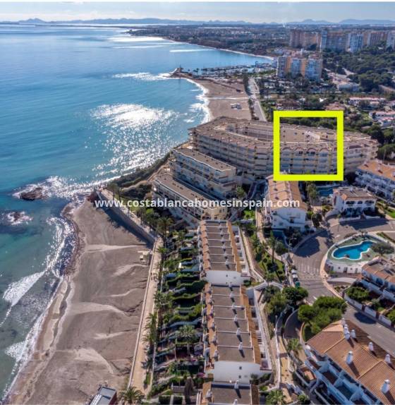 Apartment - Revente - Campoamor - 1071 UJ