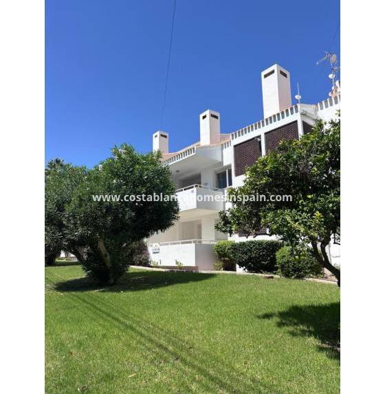 Apartment - Revente - Los Dolces - Villamartin