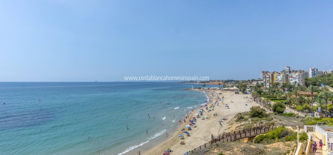 Apartment - Revente - Orihuela Costa - Campoamor