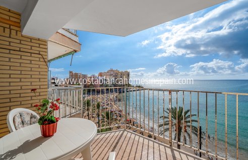 Apartment - Revente - Torrevieja - Torrevieja