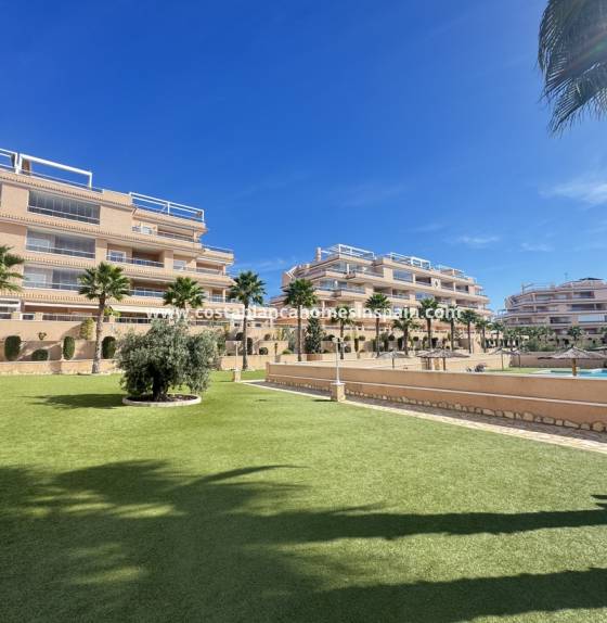Apartment - Revente - Villamartin - Villamartin