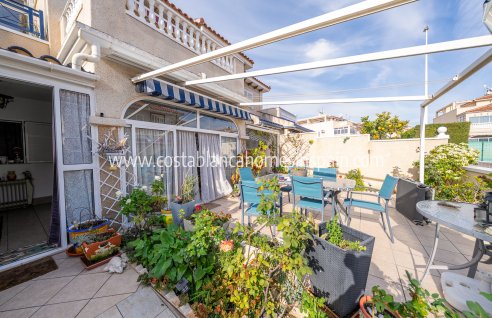 Apartment - Sale - Playa Flamenca - Zenia Mar