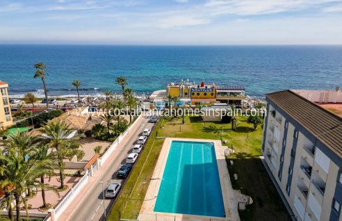 Apartment - Sale - Punta Prima - Punta Prima