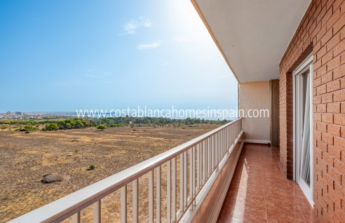 Apartment - Sale - Punta Prima - Punta Prima