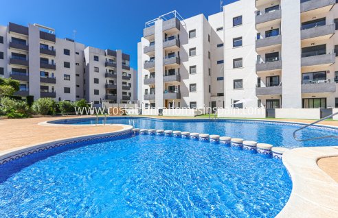 Apartment - Sale - San Miguel de Salinas - San Miguel de Salinas