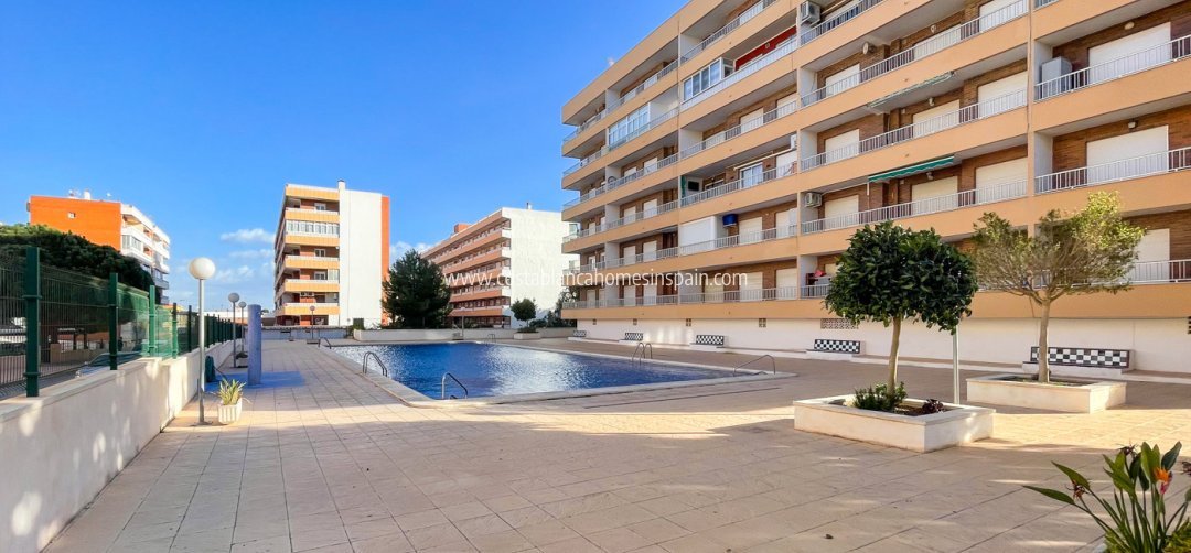 Apartment - Sale - Torrevieja - Punta Prima