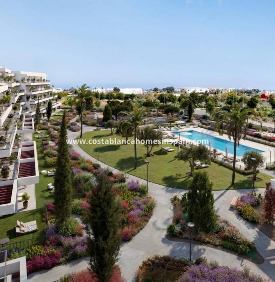 Apartment - Új építésű - Denia - Playa de La Almadraba