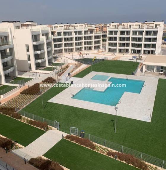 Apartment - Új építésű - Los Dolces - Villamartin