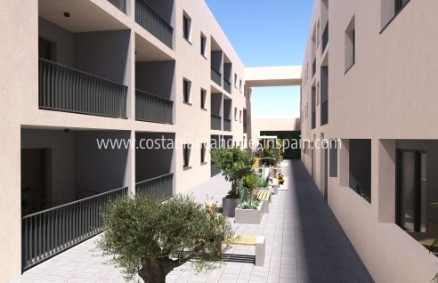 Apartment - Új építésű - San Miguel de Salinas - San Miguel de Salinas