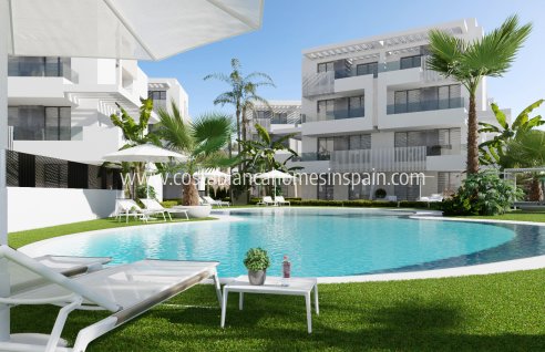 Apartment - Új építésű - Santa Rosalia - Santa Rosalia