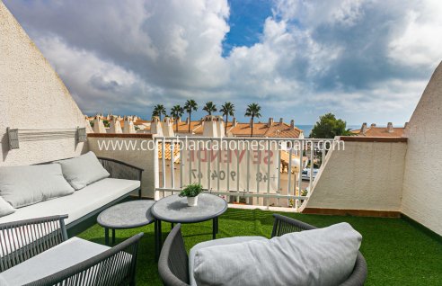 Apartment - Venta - Cabo Roig - Cabo Roig