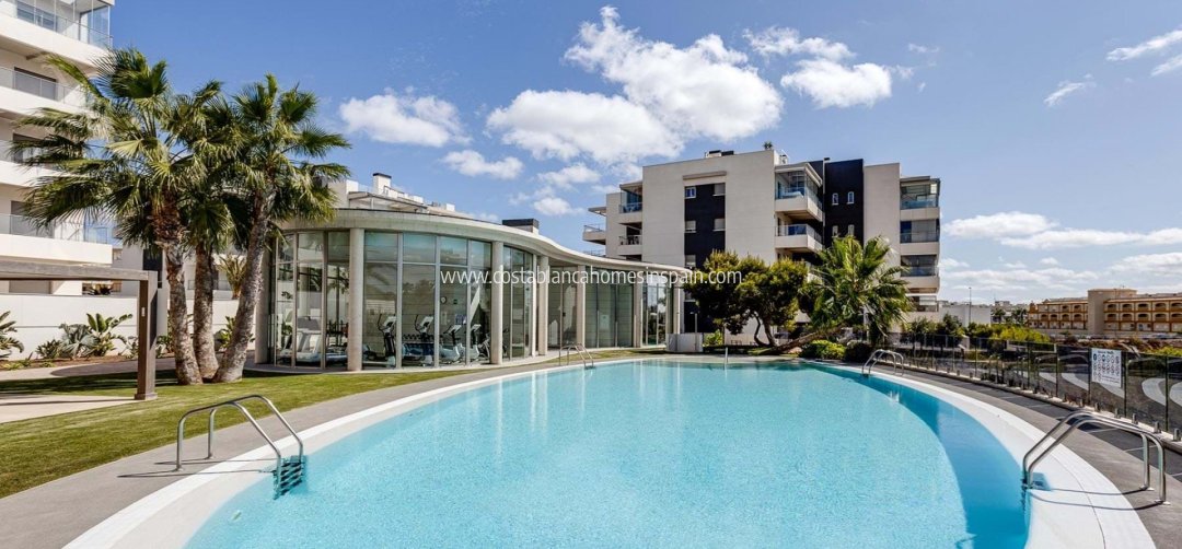 Apartment - Venta - Los Dolces - LOS DOLSES