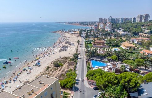 Apartment - Venta - Orihuela Costa - Campoamor