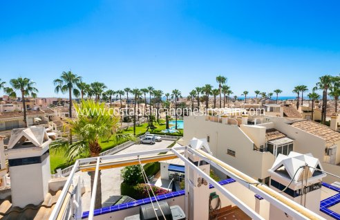 Apartment - Venta - Playa Flamenca - Playa Flamenca