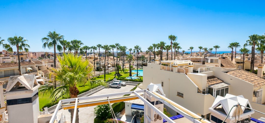 Apartment - Venta - Playa Flamenca - Playa Flamenca