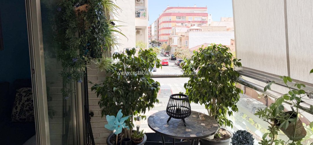 Apartment - Venta - Torrevieja - Centro