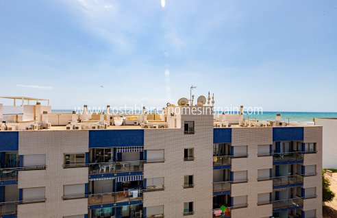 Apartment - Venta - Torrevieja - INV-88437