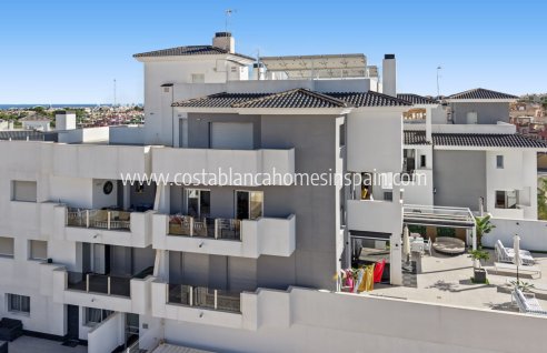 Apartment - Venta - Villamartin - Villamartin