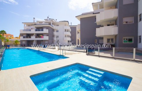Apartment - Venta - Villamartin - Villamartin