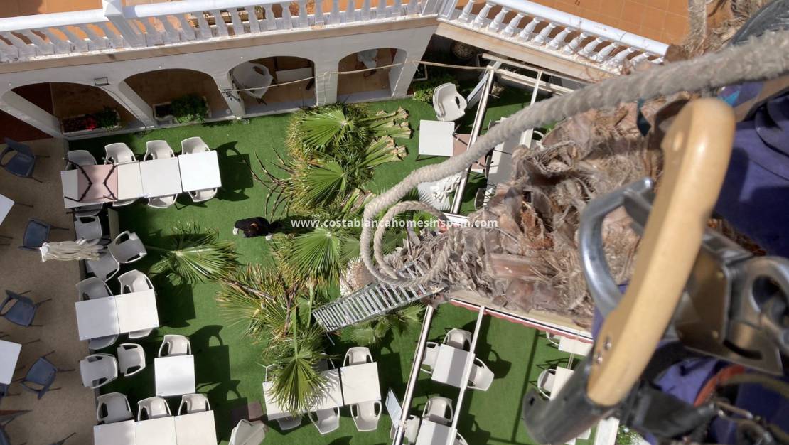 Auglýsing - Commercial - Playa Flamenca - Costa Blanca South