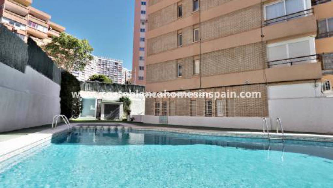 Bérbeadás - Apartment - Benidorm - Levante