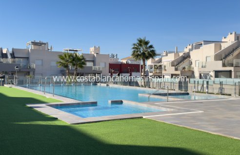Bungalow - Sale - Torrevieja - Aguas Nuevas