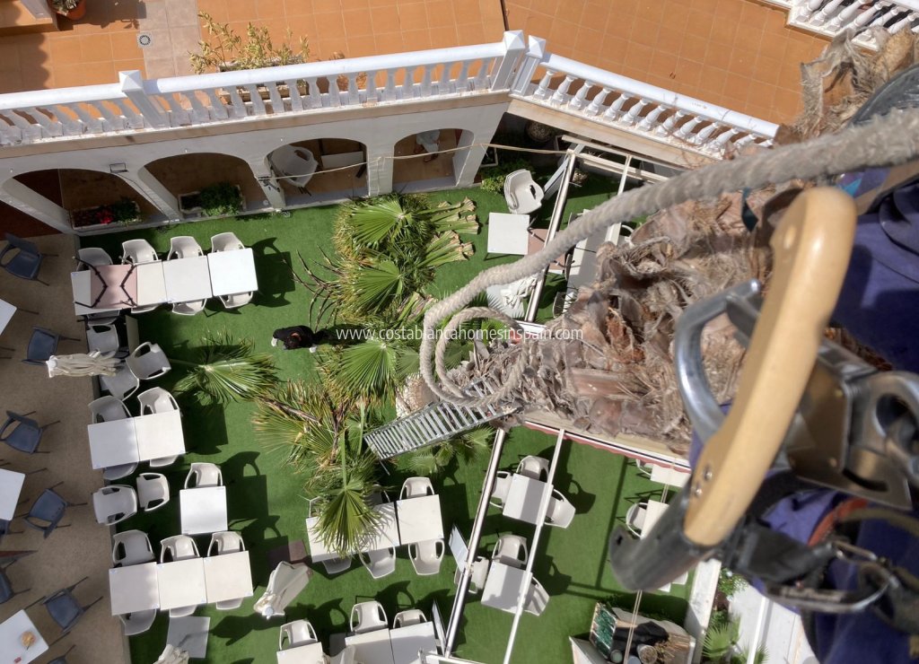 Comercial - Commercial - Playa Flamenca - Costa Blanca South