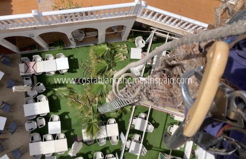 Commercial - Commercial - Playa Flamenca - Costa Blanca South