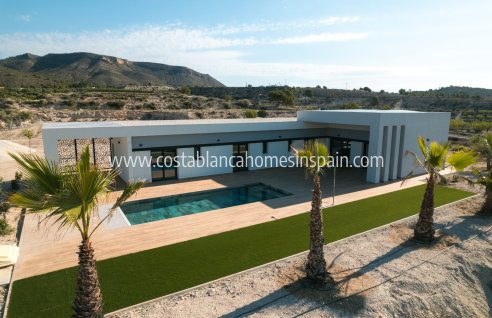Detached Villa - New Build - Pinoso - Pinoso