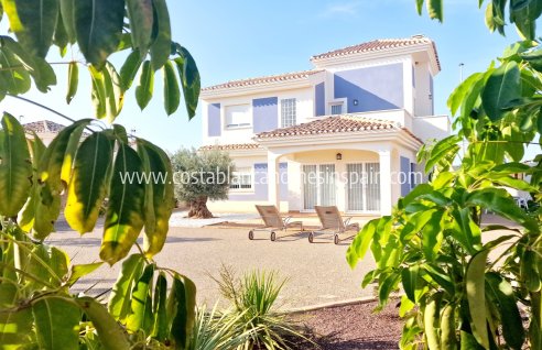 Detached Villa - New Build - Purias - Purias