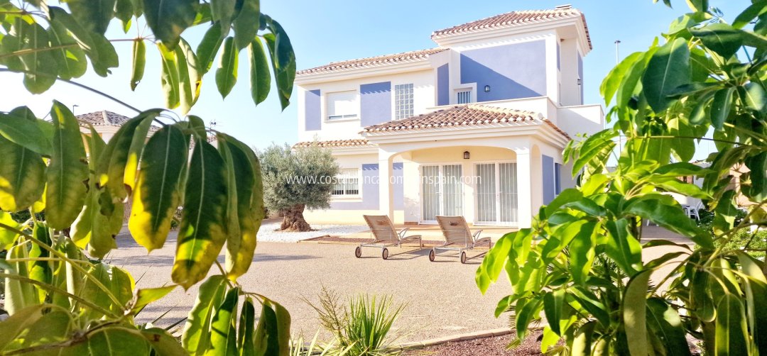 Detached Villa - New Build - Purias - Purias