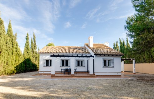 Detached Villa - Nouvelle construction - Fuente Álamo - Fuente Alamo