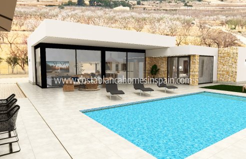 Detached Villa - Nouvelle construction - Pinoso - Pinoso