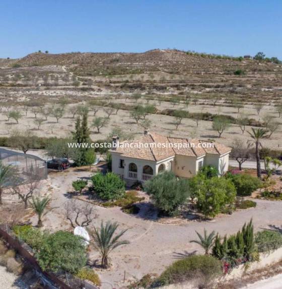 Detached Villa - Re-salg - Torremendo - Torremendo